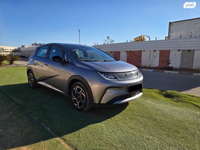 מודעת רכב בי.ווי.די דולפין 2