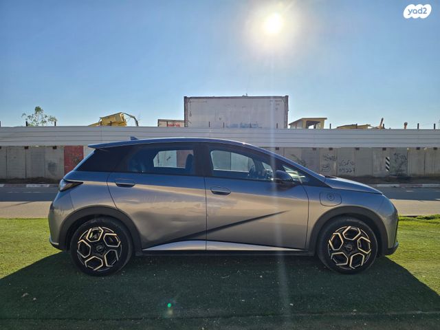 בי.ווי.די דולפין