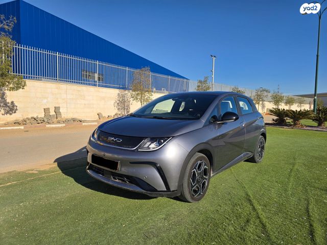 מודעת רכב בי.ווי.די דולפין