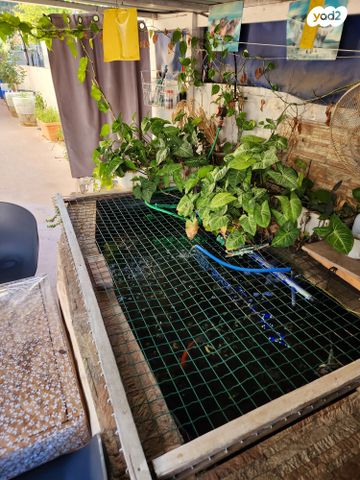 דירת גן, ניצנה 6, ניצנה, בת ים