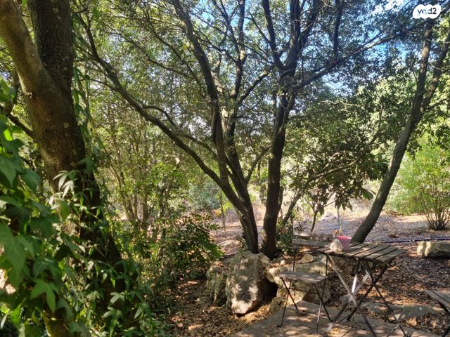 ערוגות הבושם 1