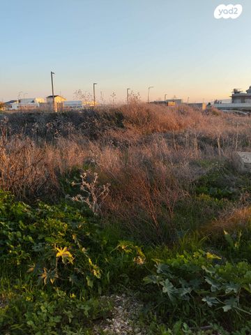 מגרשים, נרקיס 1, אומן, אומן