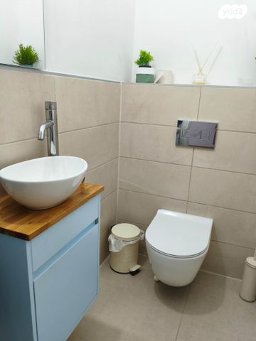 גג/ פנטהאוז, שדרות ההגשמה 24, הפרחים, חריש