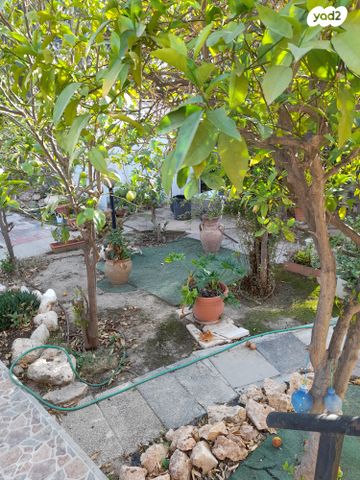 דירה, הכותל המערבי 13, שכונה א', באר שבע