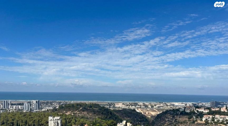 משה סורוקה 39