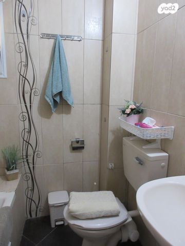 דירה, צה"ל 6, דרום, צפת