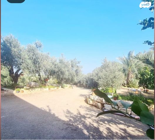 בית פרטי/ קוטג', אירוס 278, גן נר, גן נר