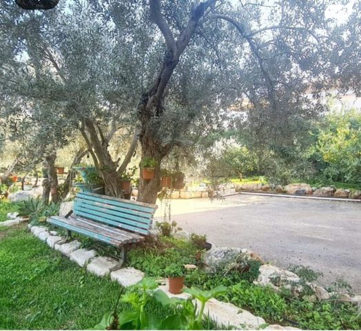 בית פרטי/ קוטג', אירוס 278, גן נר, גן נר