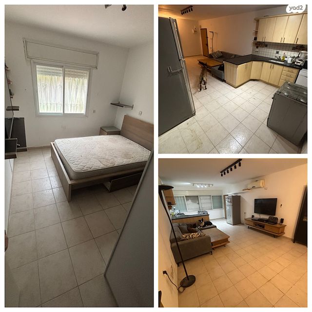 דרך פרויד 30