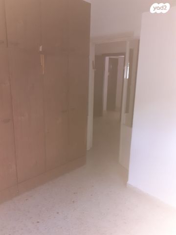 פרץ נפתלי 13