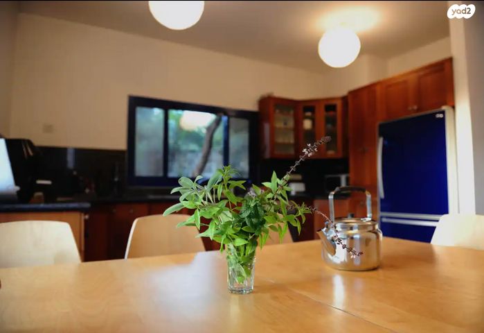 דירת גן, 7111 1, עין הוד, עין הוד