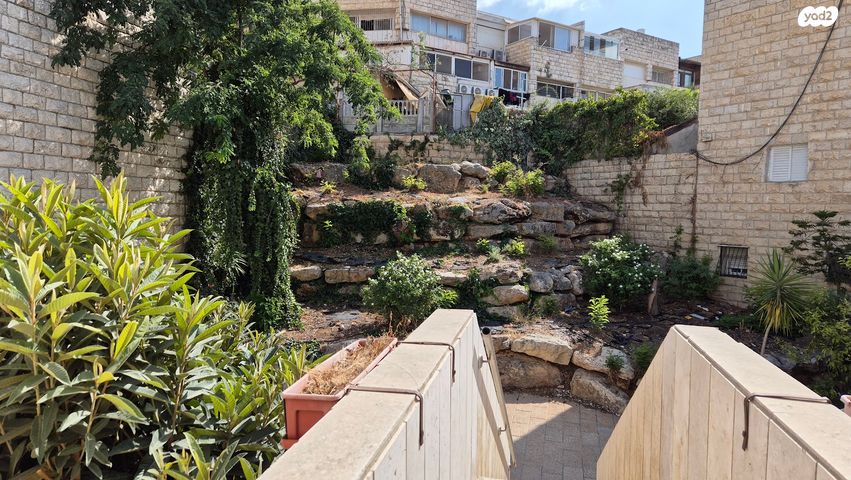 שבתאי הנגבי 65