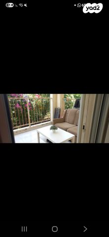 מאיר גרוסמן 17