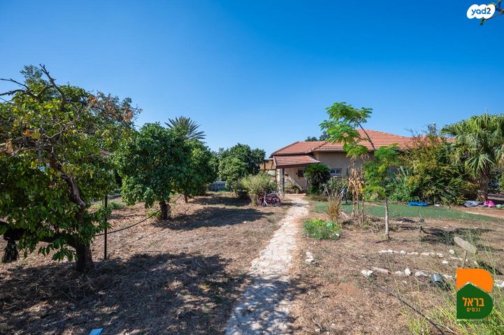 משק חקלאי/ נחלה