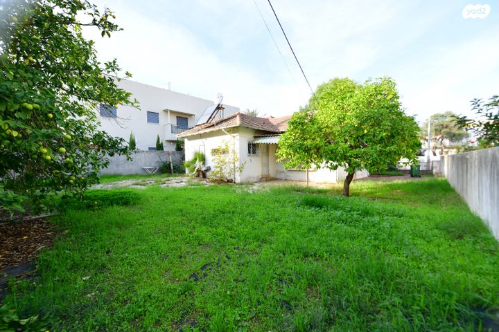 אבשלום דינוביץ 