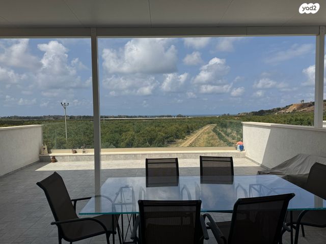 חורשת האקליפטוס 