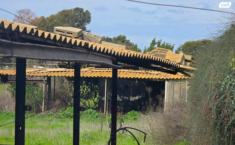 משק חקלאי/ נחלה, משגב דב