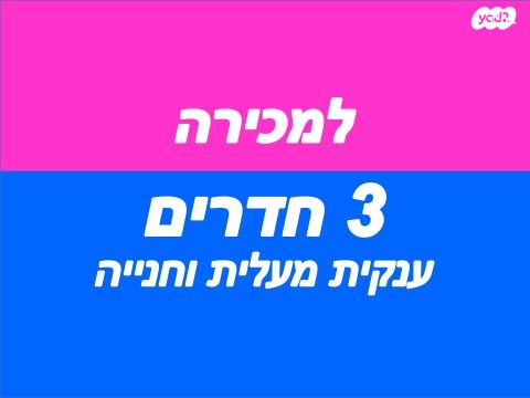לוחמי הגטו 