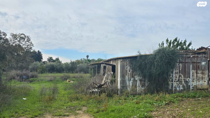 משק חקלאי/ נחלה, משגב דב