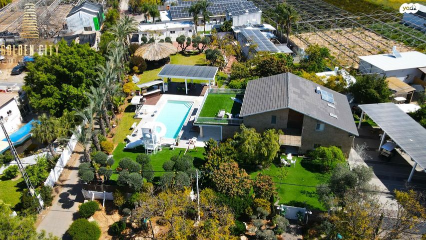 מורד התאנה 29