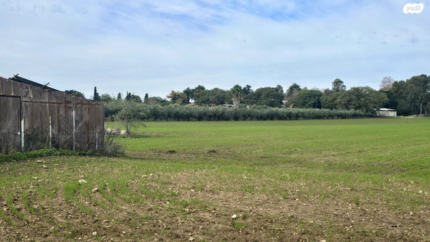 משק חקלאי/ נחלה, משגב דב