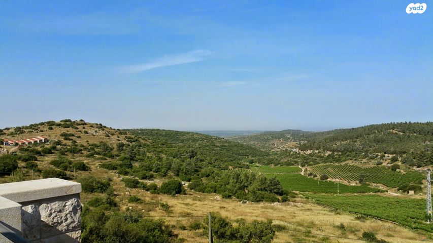 בית פרטי/ קוטג', צור הדסה