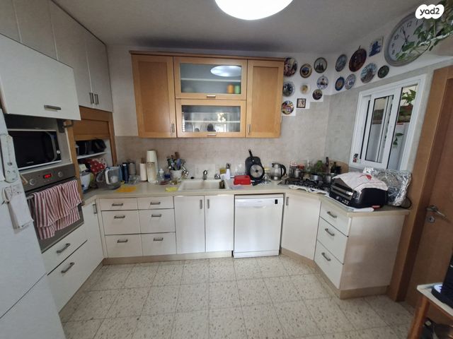 אהרון שקולניק 