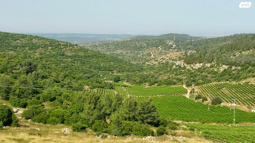 בית פרטי/ קוטג'