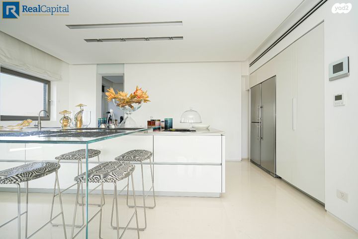 גג/ פנטהאוז, תל אביב יפו