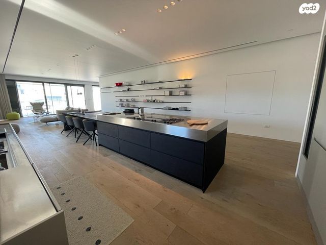 גג/ פנטהאוז, תכנית ל', למד, תל אביב יפו