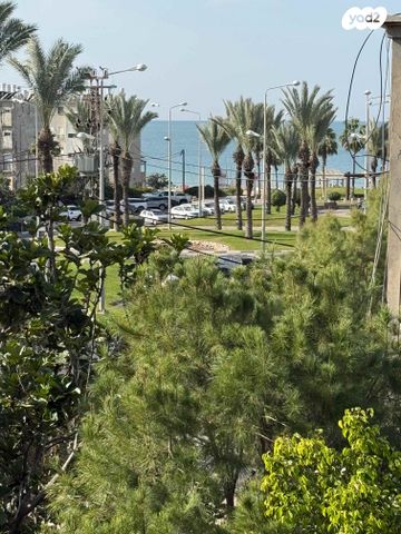 שדרות דגניה 