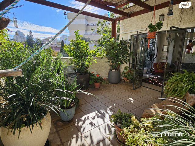 דופלקס, הרצליה