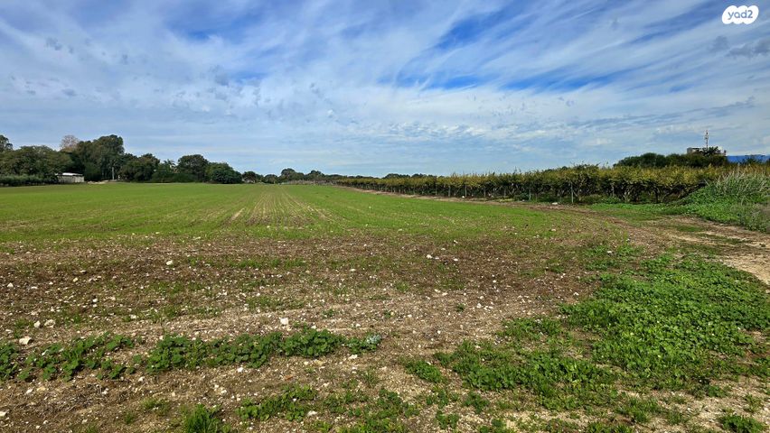 משק חקלאי/ נחלה