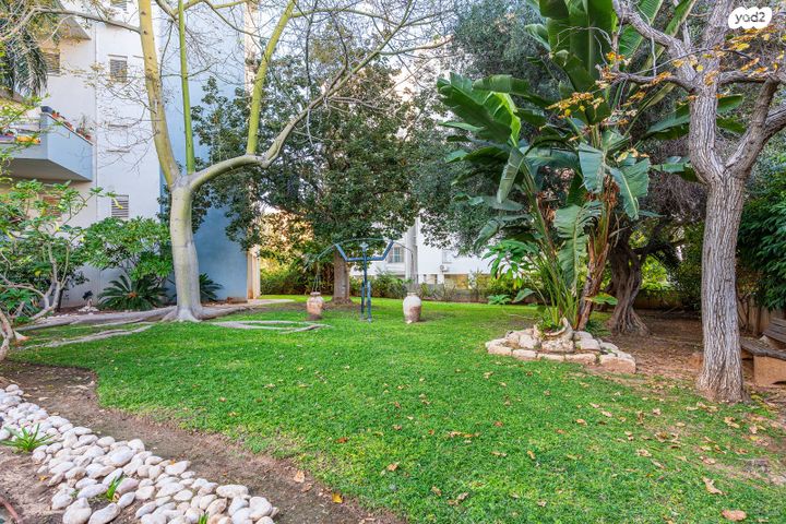 דירה, מלחמת ששת הימים 15, מרכז העיר, חדרה