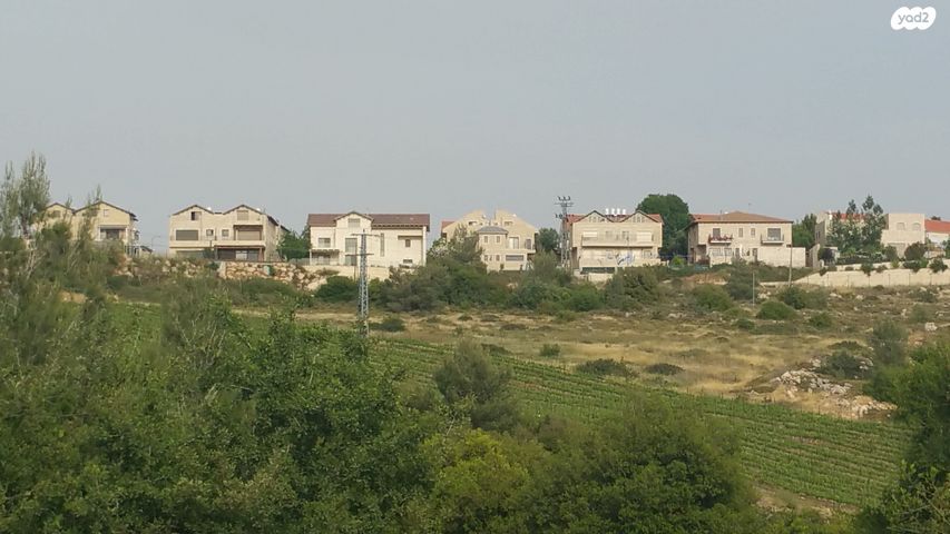 בית פרטי/ קוטג', צור הדסה