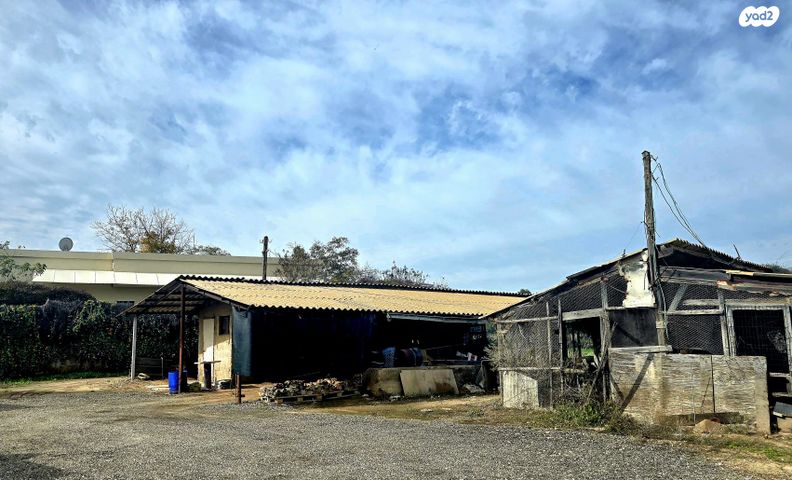 משק חקלאי/ נחלה, משגב דב