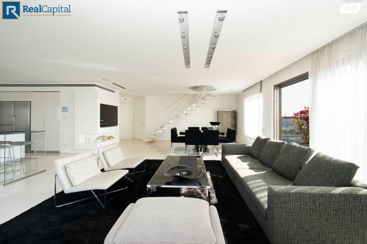 גג/ פנטהאוז, תל אביב יפו