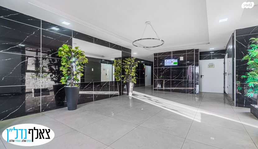 דירה, רבי עקיבא, כוכב הצפון, אשקלון