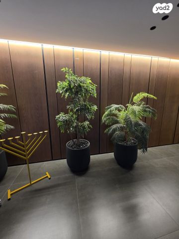 דירה, תבור 1, בית בפארק ,פרדס בחסכון, אור יהודה