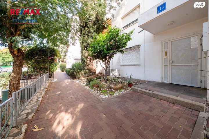 דירה, כינור, נווה אפק, ראש העין