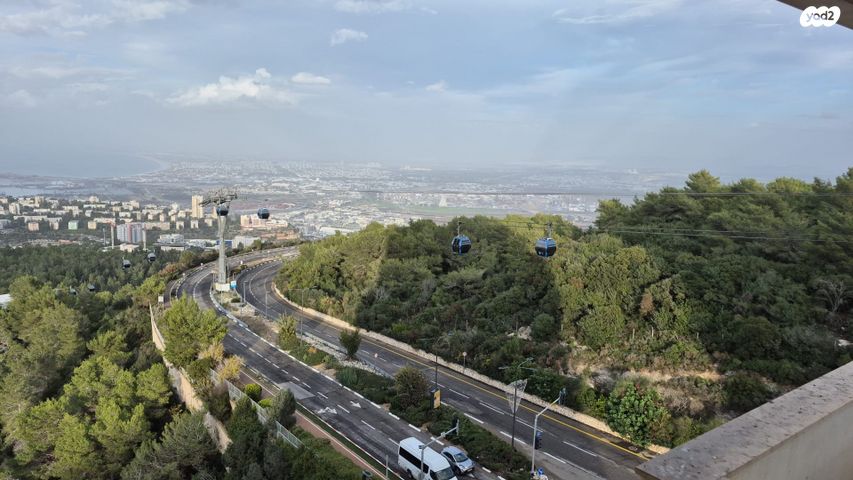 דירה, התאנה, נשר