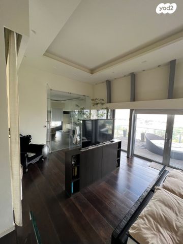 גג/ פנטהאוז