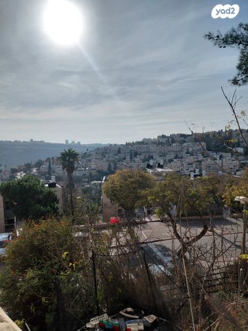 הנרי מורגנטאו 