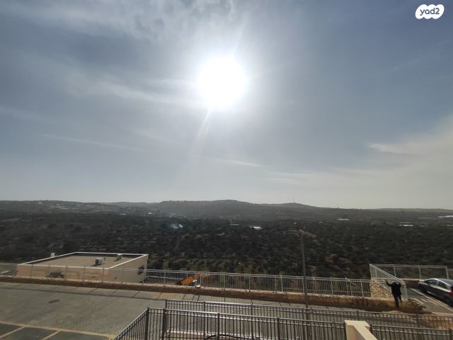 דופלקס, צופים, צופים