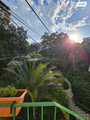 טריפלקס, אמנון ותמר, קרית טבעון