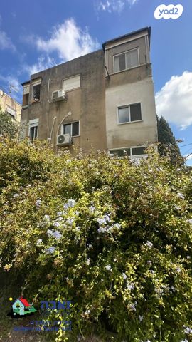 דירה, כינרת 10, הדר עליון, חיפה