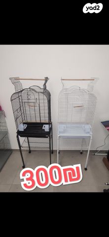 תמונת מודעה - חיות מחמד