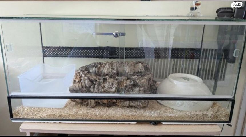 תמונת מודעה - חיות מחמד