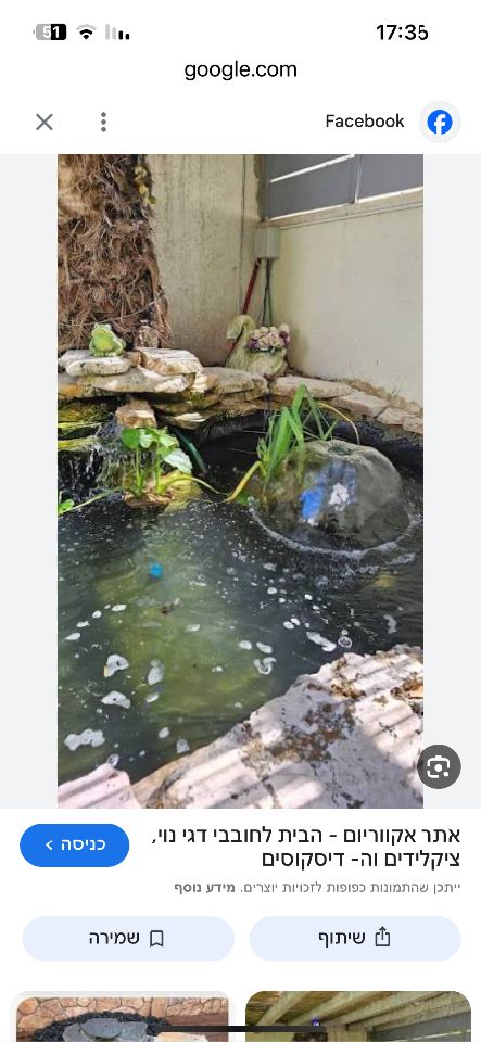 תמונת מודעה - חיות מחמד