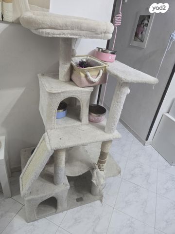 תמונת מודעה - חיות מחמד